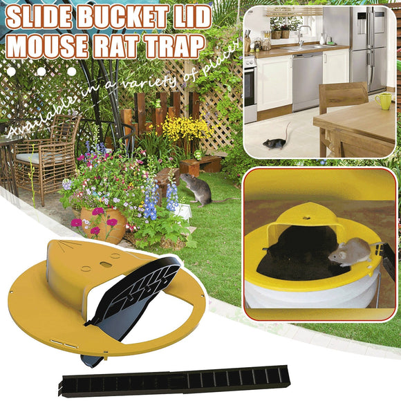 Flip N Slide Bucket Mouse Trap